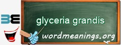 WordMeaning blackboard for glyceria grandis